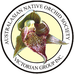 ANOS Vic. Logo
