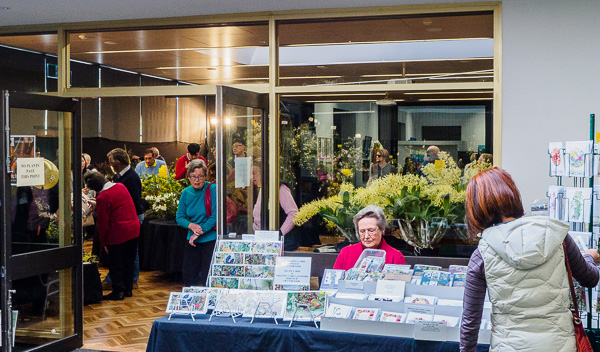 Orchid Sales