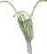 Pterostylis stricta